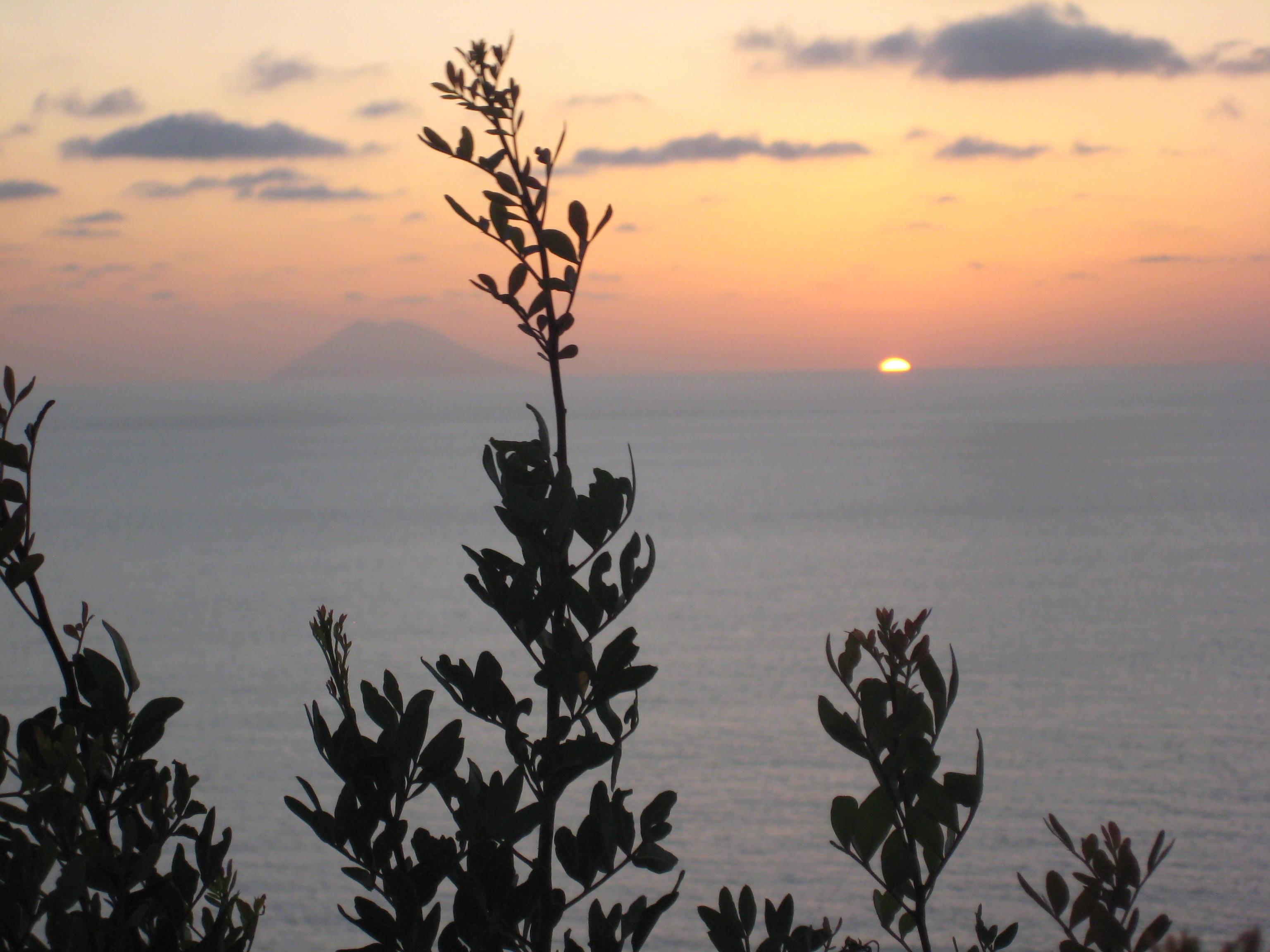 Residence Hotel La Taverna Capo Vaticano Eksteriør billede